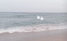 two white stars are floating in the water at the beach near the ocean's edge