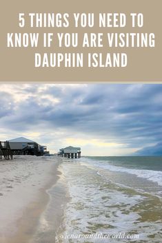 the beach with text overlay that reads 5 things you need to know if you are visiting daupin island