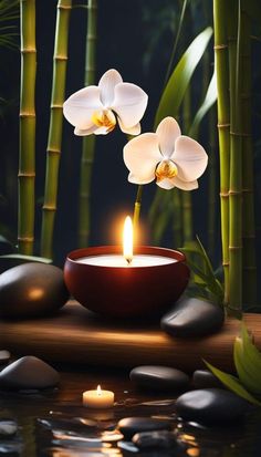 a candle that is sitting in front of some rocks and bamboos on the water