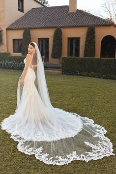 Sophia Tolli Accessories One Size / Ivory Sophia Tolli: Y3100VEIL Bride Veil Long, Cathedral Wedding Veil, Beautiful Veil, Fairy Tale Wedding Dress, Cathedral Wedding, Pretty Wedding Dresses, Wedding Dress With Veil, Lace Vintage