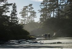 two people are walking on the beach near some trees and water with sun shining through them