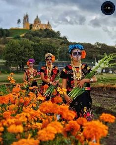 three women dressed in colorful costumes and flowers