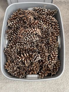 a grey container filled with lots of pine cones