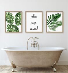 three framed tropical prints on the wall above a claw foot bathtub in a bathroom