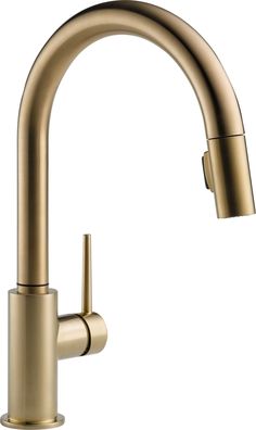 a brass colored kitchen faucet with an angled spout and pull out sprayer