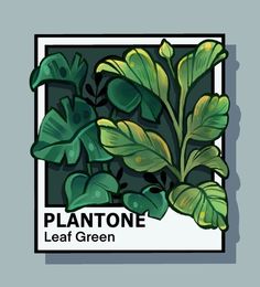 a plant with green leaves is shown in the center of a square frame that says plantone leaf green