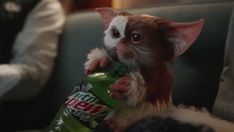 a cat sitting on top of a couch next to a bag of gummy bears