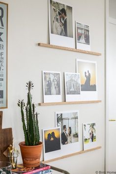 some pictures are hanging on the wall above a potted plant and bookshelf