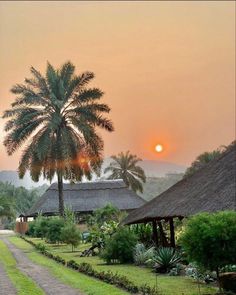 the sun is setting behind palm trees and thatched roof huts in an african village