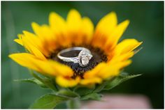 a close up of a sunflower with a wedding ring on the top of it