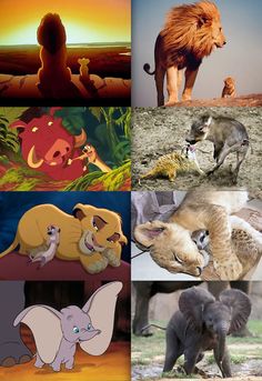 the lion king and other disney characters are depicted in this collage with images of their favorite animals