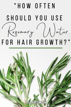 Rosemary water is an amazing remedy to make your hair grow like a weed! Before you start using rosemary water in your hair regimen, you might want to know, ‘how often should you use rosemary water on your hair?’ Find the answer here. Diy Hair Coloring, Herb Remedies, Using Rosemary, Rosemary Hair Growth, Rosemary Water, Strengthen Hair Roots, Fine Mist Spray Bottle, Body Tips, Hair Growth Spray