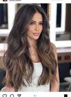 Chestnut Brunette Balayage, Sunkissed Highlights Brown Hair, Balayage Natural Hair, Sunkissed Hair Brunette Dark, Sunkissed Hair Brunette, Sunkissed Hair, Brown Hair Trends, Beach Goddess