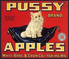 White Persian Kittens, Yakima Washington, Fruit Labels