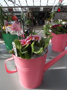 pink watering can with flowers in it on top of a table at a flower shop