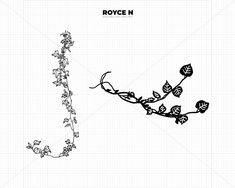 a black and white drawing of a vine with flowers on it's side, next to the word royce n