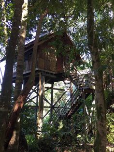 a tree house in the middle of some trees