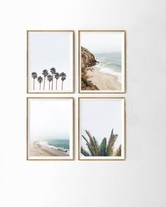 four framed photos hanging on the wall with palm trees in front of them, along with an ocean and beach scene