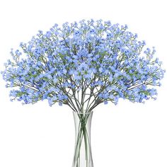 blue flowers in a vase on a white background