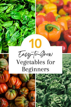 the top ten vegetables for beginners to learn how to grow them and eat them