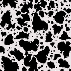 black and white cow pattern with spots on the skin, which is very similar to an animal print