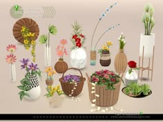 an assortment of vases with flowers and plants in them on a beige background,