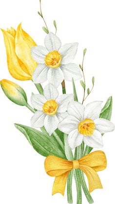 watercolor painting of yellow and white flowers