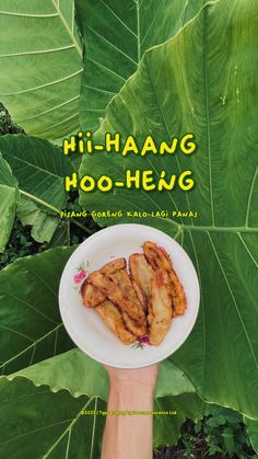 a hand holding a white plate with food on it in front of large green leaves