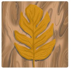 a yellow leaf on a brown background