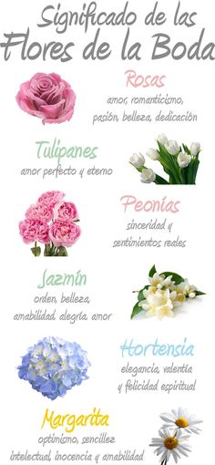 flowers are arranged in different colors and sizes, with the words written below them on each side