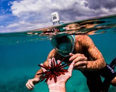 a man holding a starfish in the water with a snorkels on his arm