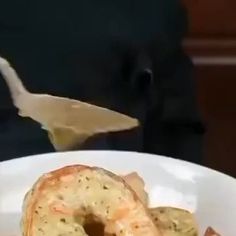 a white plate topped with doughnuts on top of a table