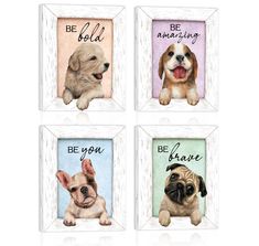 four framed pictures with dogs in them saying be bold, be amazing, be brave