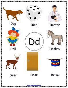 the letter d worksheet for children