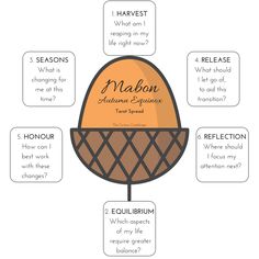 an info sheet describing the different types of food and what they are labeled in it