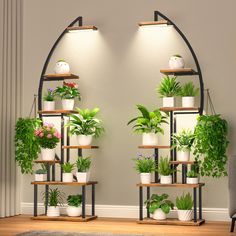 an arch shaped shelf with potted plants on it