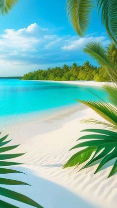 tropical beach with palm trees and clear blue water