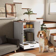 a brown and white dog sitting on the floor next to a cabinet with its door open