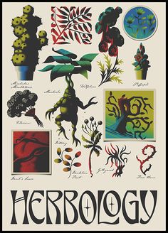 a poster with many different types of plants and animals on it's back side