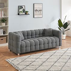 a living room scene with focus on the grey couch and white rug, there is a potted plant in the corner