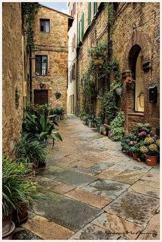 an alley way with potted plants on either side and stone buildings in the background