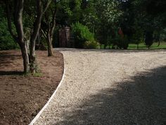 a gravel road with trees and bushes in the background