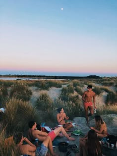 a group of people sitting on top of a beach next to tall grass and bushes