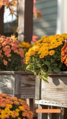 Want a warm and inviting fall porch? Try these simple decorating tips to turn your small space into a cozy retreat. Fall Porch Decorations, Simple Decorating, Solar Path Lights, Small Front Porch