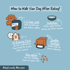 an info sheet describing how to eat dog food and what it's good to eat