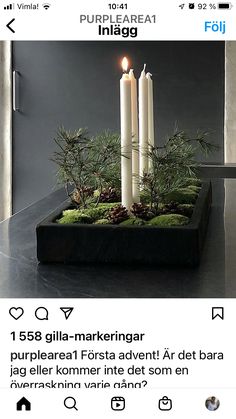 two white candles sitting on top of a black tray filled with moss and pine cones