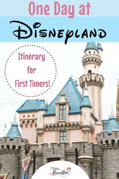 the disneyland castle with text overlay that reads one day at disney