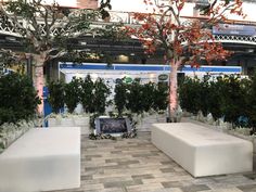 an indoor garden with benches and trees in the center, surrounded by white planters