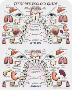 Tooth Pain Relief, Reflexology Foot Chart, Studera Motivation, Kedokteran Gigi, Reflexology Chart, Acupressure Massage, Reflexology Massage, Tooth Pain, Health Hacks