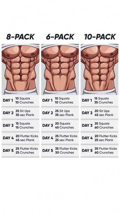 the six day program for men to gain their back muscles and build muscle absor